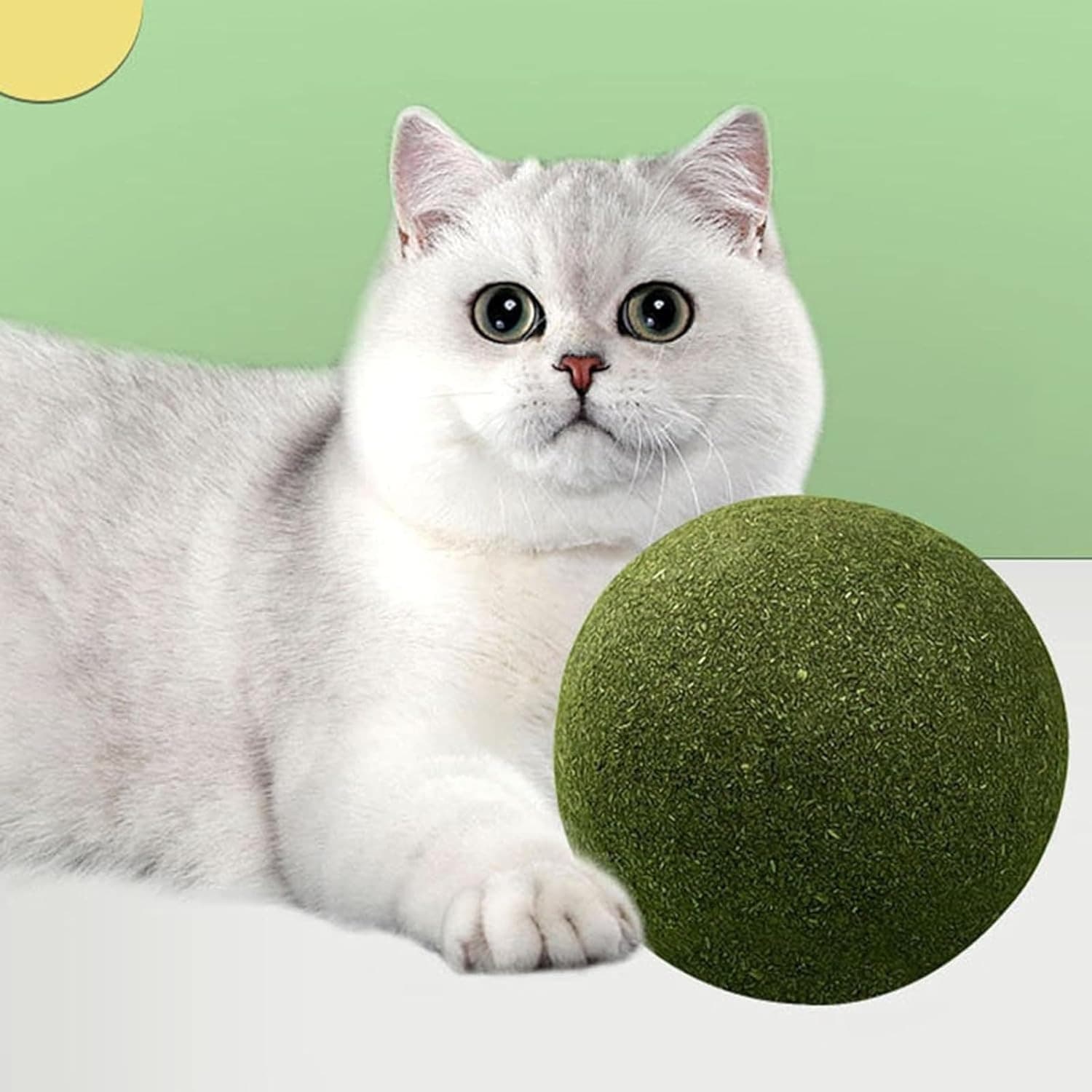 CAT TEETH CLEANING BALL