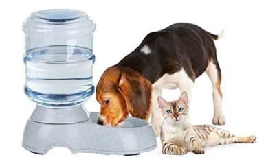 DOG WATER DISPENSER