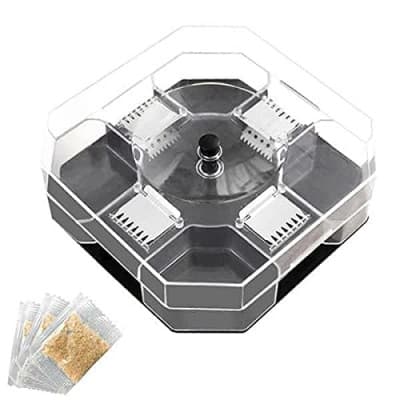 COCKROACH TRAP BOX